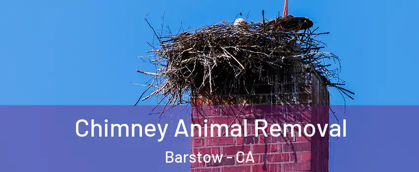 Chimney Animal Removal Barstow - CA