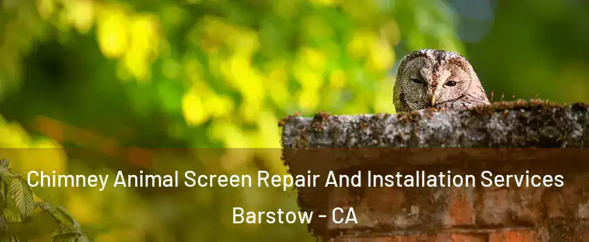  Chimney Animal Screen Repair And Installation Services Barstow - CA