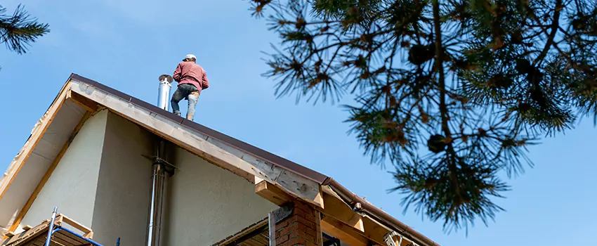 Birds Removal Contractors from Chimney in Barstow, CA