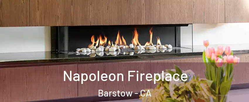  Napoleon Fireplace Barstow - CA